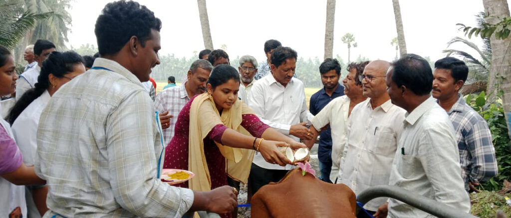 Free Veterinary Camp